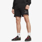 Puma | x ONE PIECE SHORTS  { BLACK