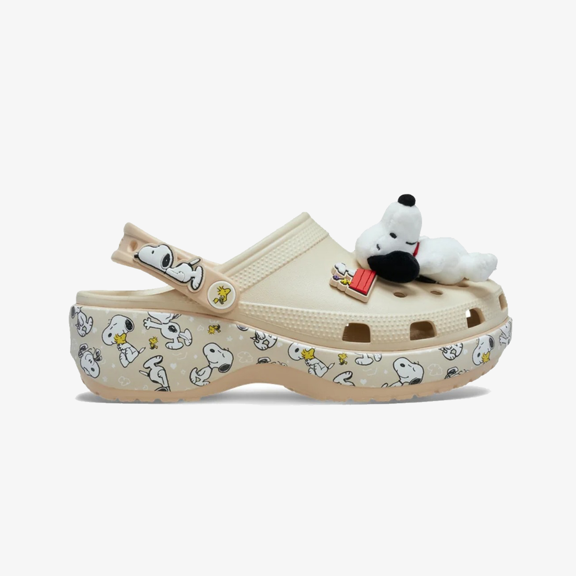 Description of the image