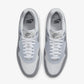 NIKE | AIR MAX 1 { PHOTON DUST/SMOKE GREY-WOLF GREY-WHITE