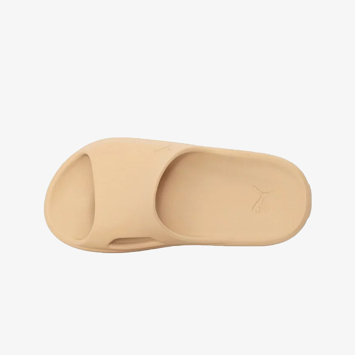 Buy Light Sand Puma Shibui Cat Slide for Men Online | Superkicks